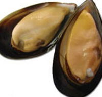 Sea Bounty - Accommodation Ballina