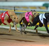 The Beckley Centre - Accommodation Ballina