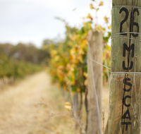 Stanton and Killeen Wines - Accommodation Ballina