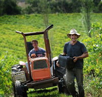 Kellybrook Winery  Kelly Brothers Cider - Accommodation Ballina