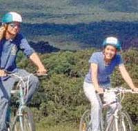 Lysterfield Park - Accommodation Ballina