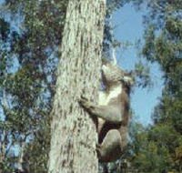 Creswick Regional Park