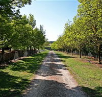 Waybourne Winery - Accommodation Ballina
