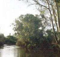 Banksia Park - Accommodation Ballina