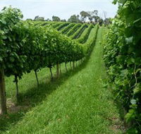 The Cups Estate - Accommodation Ballina