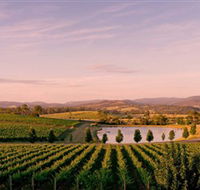 Oakridge Wines - Accommodation Ballina