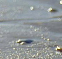 Cape Liptrap Coastal Park - Accommodation Ballina