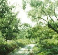 Holey Plains State Park - Accommodation Ballina