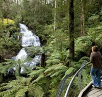Great Otway National Park