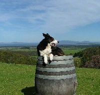 Windy Ridge Vineyard and Winery - Accommodation Ballina