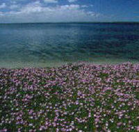 The Lakes National Park - Accommodation Ballina