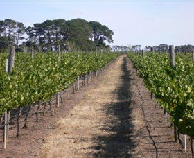 Mount Beckworth Wines - Accommodation Ballina 0