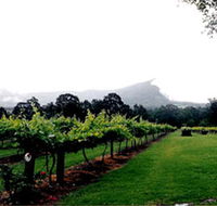 Cambewarra Estate Wines - Accommodation Ballina