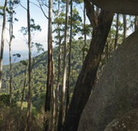 Gulaga National Park - Accommodation Ballina