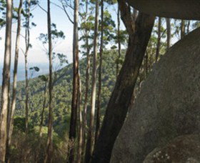 Gulaga National Park - Accommodation Ballina 0