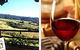 Jasper Valley Wines And Vines Cafe - thumb 0