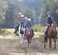 Horse Riding at Oaks Ranch and Country Club - Accommodation Ballina
