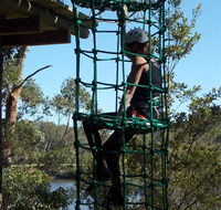 Trees Adventure Shoalhaven - Accommodation Ballina