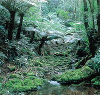 Deua National Park - Accommodation Ballina