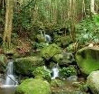 Budderoo National Park - Accommodation Ballina