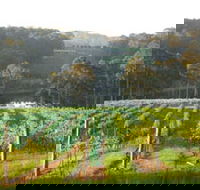 Tilba Valley Wines - Accommodation Ballina