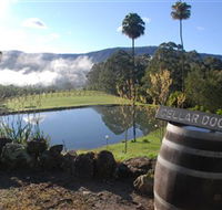 Yarrawa Estate - Accommodation Ballina