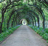 Foxglove Spire Gardens - Accommodation Ballina