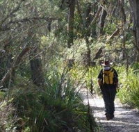 Barren Grounds Nature Reserve - Accommodation Ballina