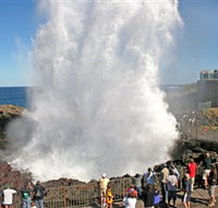 Kiama Blowhole - Accommodation Ballina