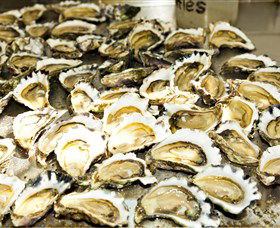 Wheelers Oysters - Accommodation Ballina 0
