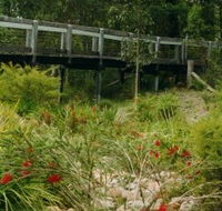 Eurobodalla Botanic Gardens - Accommodation Ballina