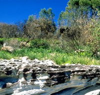 Abrahams Bosom Reserve - Accommodation Ballina