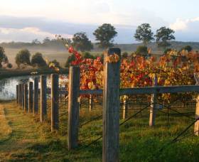 Roses Vineyard At Innes View - Accommodation Ballina 2