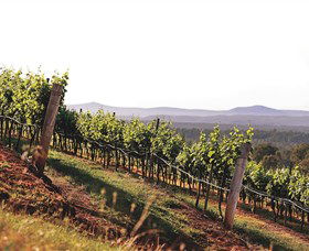 Briar Ridge Vineyard - Accommodation Ballina 1