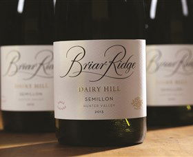 Briar Ridge Vineyard - Accommodation Ballina 0