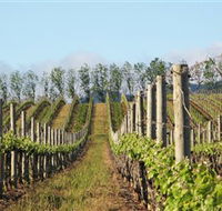 Philip Shaw Wines - Accommodation Ballina