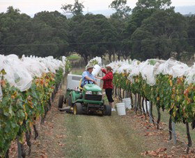 Razorback Ridge Wines - Accommodation Ballina 7