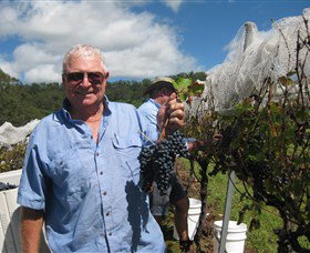 Razorback Ridge Wines - Accommodation Ballina 2