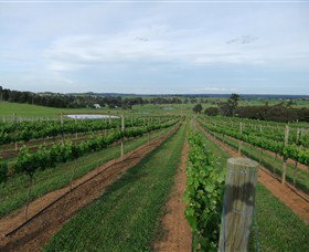 Razorback Ridge Wines - Accommodation Ballina 1
