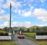 Sarabah Estate Vineyard - Accommodation Ballina