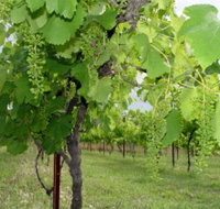 Holland Wines - Accommodation Ballina