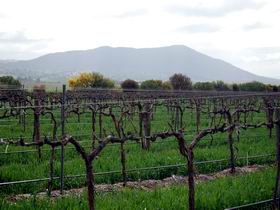 Remarkable View Wines - Accommodation Ballina 1