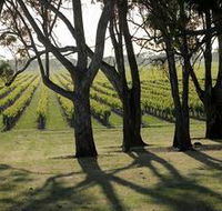 Henry's Drive Vignerons - Accommodation Ballina
