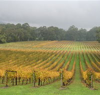 Boat O'Craigo Wines - Accommodation Ballina