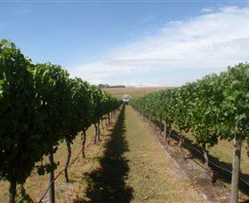 Cannibal Creek Vineyard - Accommodation Ballina 1