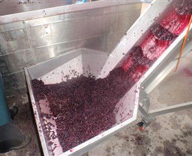 Cannibal Creek Vineyard - Accommodation Ballina 6