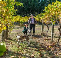 Little River Wines of Taggerty - Accommodation Ballina