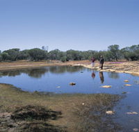 Camel Soak - Accommodation Ballina