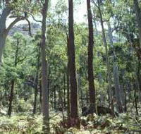 Cathedral Range State Park - Accommodation Ballina