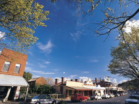 Drysdale Cheeses - Accommodation Ballina 1